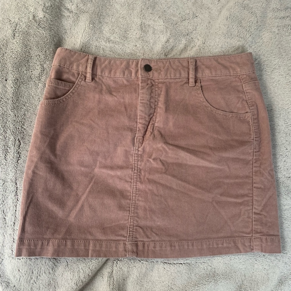 Pale Pink Skirt